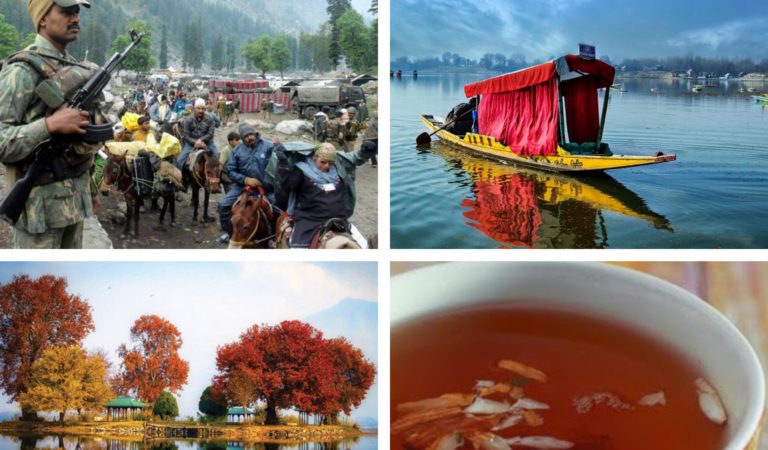 कश्मीर और चिनार : एक अनसुनी पुकार